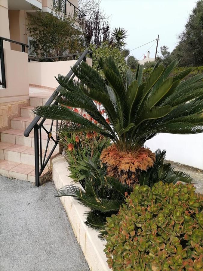 Kydoni Apartments And Studios Agia Marina 外观 照片