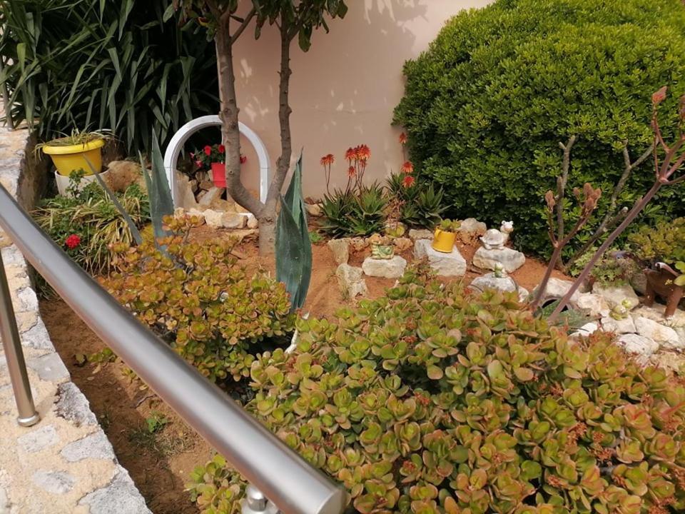 Kydoni Apartments And Studios Agia Marina 外观 照片